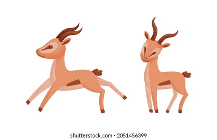 Standing African Gazelle as Fawn-colored Antelope Species with Curved Horn Vector Set