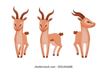 Standing African Gazelle as Fawn-colored Antelope Species with Curved Horn Vector Set