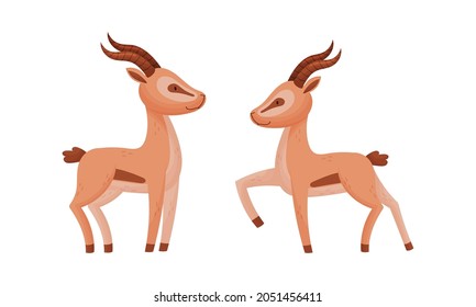 Standing African Gazelle as Fawn-colored Antelope Species with Curved Horn Vector Set