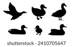 Standing baby duck silhouette set. Flying and floating duck. Vector illustration pond birds isolated on white background. Duckling. Wild and domestic bird.