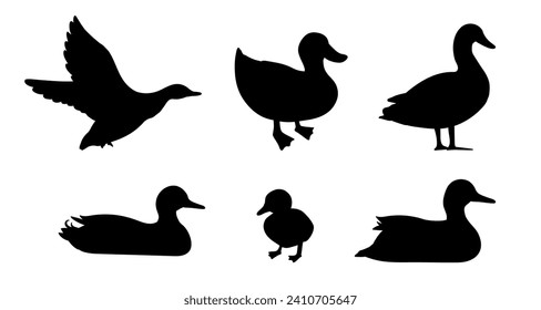 Standing baby duck silhouette set. Flying and floating duck. Vector illustration pond birds isolated on white background. Duckling. Wild and domestic bird.