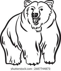 Standing Bear Line Art - Simple Cute Animal Drawing