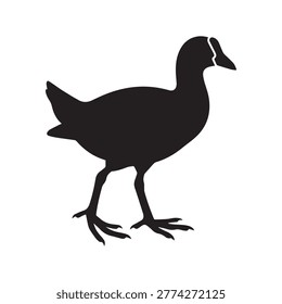 Standing bird silhouette isolated on white background for wildlife and nature graphic design projects