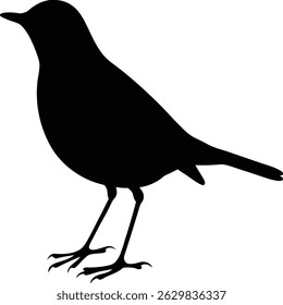 Standing Bird Silhouette Vektor Frei Schwarz und Weiß Clipart