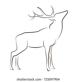 Standing black line deer on white background. Hand drawing vector graphic animal.