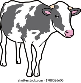 Standing Black White Cow Viewed Front Stock Vector (Royalty Free ...