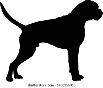 Standing Boxer Dog, Silhouette, Germany, Europe