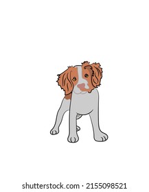 Standing Brittany Dog Clipart Vector