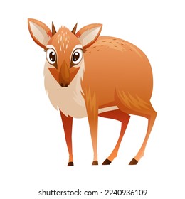 Standing Brown Dik-dik as African Small Antelope with Horns Vector Illustration