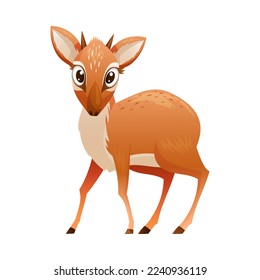 Standing Brown Dik-dik as African Small Antelope with Horns Vector Illustration