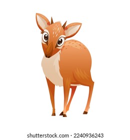 Standing Brown Dik-dik as African Small Antelope with Horns Vector Illustration