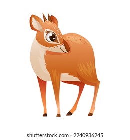 Standing Brown Dik-dik as African Small Antelope with Horns Vector Illustration