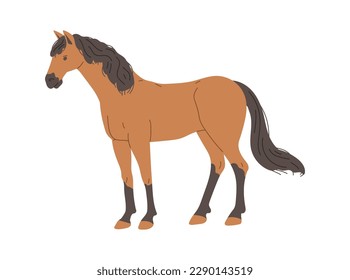 Standing brown horse with dark mane and tail flat style, vector illustration isolated on white background. Decorative design element, equestrian sport, fast animal