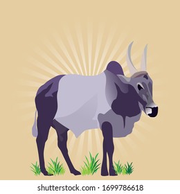 Standing bull vector in yellow background