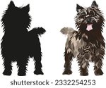 Standing Cairn Terrier dogs. Cute side view pet. Logo design, breed of working dog of medium to large size. Pet character postcard art. Funny dog mascot. Detailed small pet illustration, silhouette
