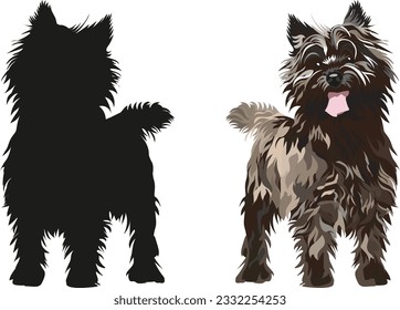 Standing Cairn Terrier dogs. Cute side view pet. Logo design, breed of working dog of medium to large size. Pet character postcard art. Funny dog mascot. Detailed small pet illustration, silhouette