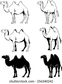 standing camel, three variants of the image of a camel, black and white image