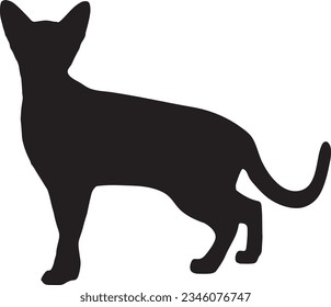 standing cat vector in different styles silhouette