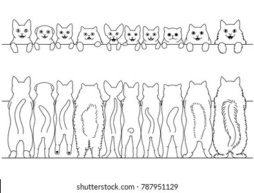 standing cats front and back border set