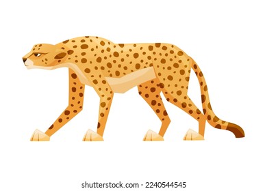 Standing Cheetah as African Large Cat with Long Tail and Black Spots on Coat Vector Illustration