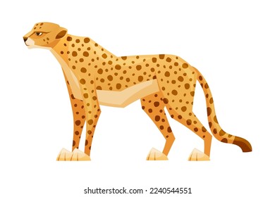 Standing Cheetah as African Large Cat with Long Tail and Black Spots on Coat Vector Illustration