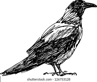 30+ Top For Crow Drawing Images | Barnes Family