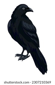 Standing crow clipart isolated on white. Cartoon style drawing of black raven wild bird. Halloween creepy fauna modern vector illustration..