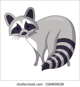 Standing racсoon curious of what is going on. Vector illustration in cute cartoon style