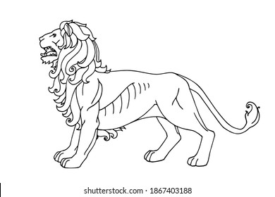 standing decorative lion with mane, for ornament, logo or emblem, heraldic symbol, vector illustration with black ink contour lines isolated on a white background in a hand drawn style
