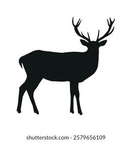 standing deer forward stock image photo vector silhouette template background
 