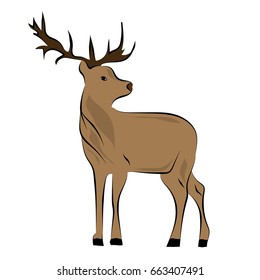 Standing deer on the white background. Vector illustration