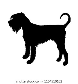 Standing dog. Black silhouette 
Giant Schnauzer contour on a white background