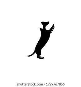 Standing dog. Dachshund. Logo icon vector sillhouette.