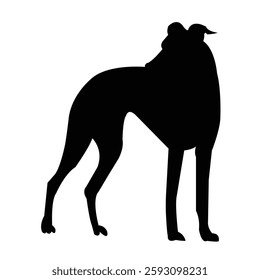 Standing dog forward stock image photo vector art silhouette template background