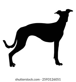 Standing dog forward stock image photo vector art silhouette template background