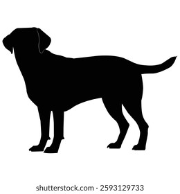 standing dog forward stock image photo vector art silhouette template background