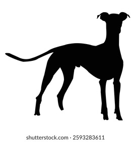 Standing dog forward stock image photo vector art silhouette template background