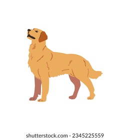 Un perro de pie. Concepto de mascotas. Ilustración vectorial aislada.