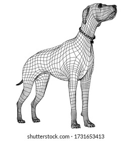 Standing dog polygonal lines illustration. Abstract vector dog on the white background