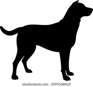 Standing dog silhouette in black vector style, portraying strength, alertness, and confidence. Ideal for pet branding, training concepts, security themes, and minimalist animal illustrations.