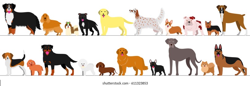 standing dogs border set