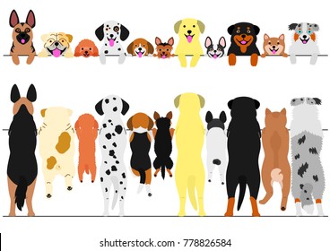 standing dogs front and back border set