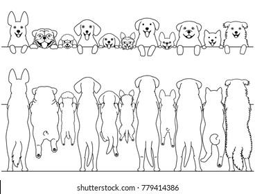 standing dogs front and back border set