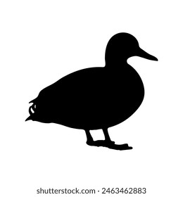 Standing duck silhouette or vector 