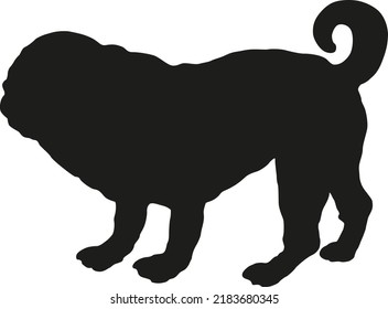 Standing dutch mastiff puppy. Chinese pug or mops. Black dog silhouette. Pet animals. Isolated on a white background. Vector illustration.