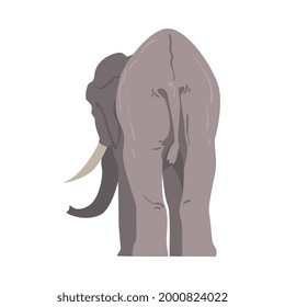 Standing Elephant as Large African Animal with Trunk, Tusks, Ear Flaps and Massive Legs Back View Vector Illustration