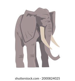 Standing Elephant as Large African Animal with Trunk, Tusks, Ear Flaps and Massive Legs Vector Illustration