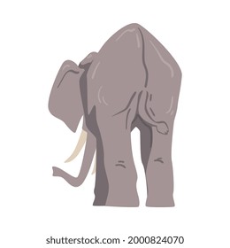 Standing Elephant as Large African Animal with Trunk, Tusks, Ear Flaps and Massive Legs Back View Vector Illustration