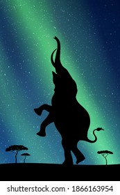 Standing elephant at night. Animal silhouette. Green aurora borealis