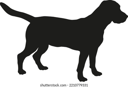 Standing english beagle puppy. Black dog silhouette. Pet animals. Isolated on a white background. Vector illustration.
